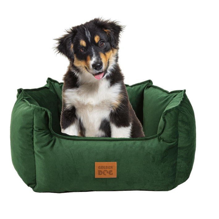Dog bed CROWN Lux – Green