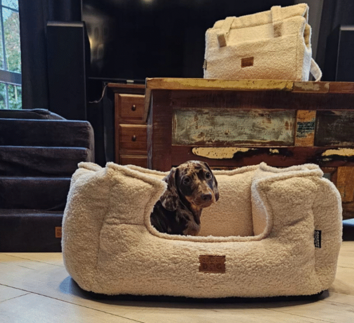Dog bed BOUCLE