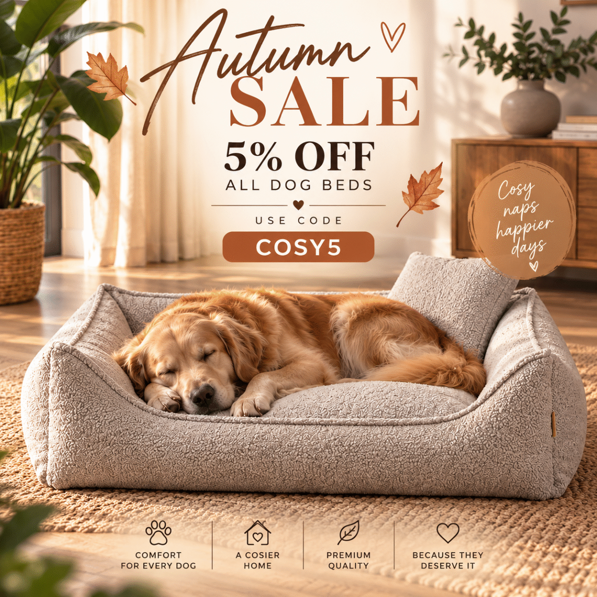 cosy5_autumn sale